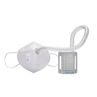 Molipow Travel Size Portable Breath Air Purifier  HEPA Filtration Anti-Haze Masks  Anti Dust  Virus  formaldehyde - B06XHH4V3J